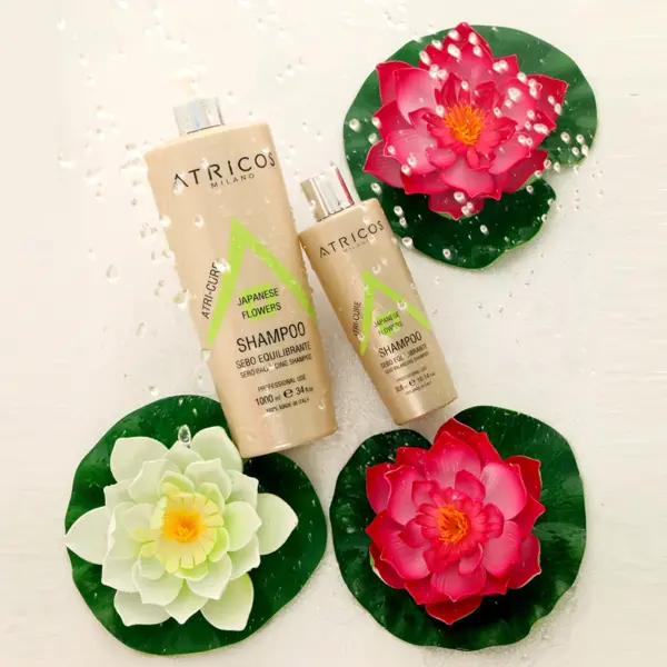 SHAMPOO SEBO EQUILIBRANTE